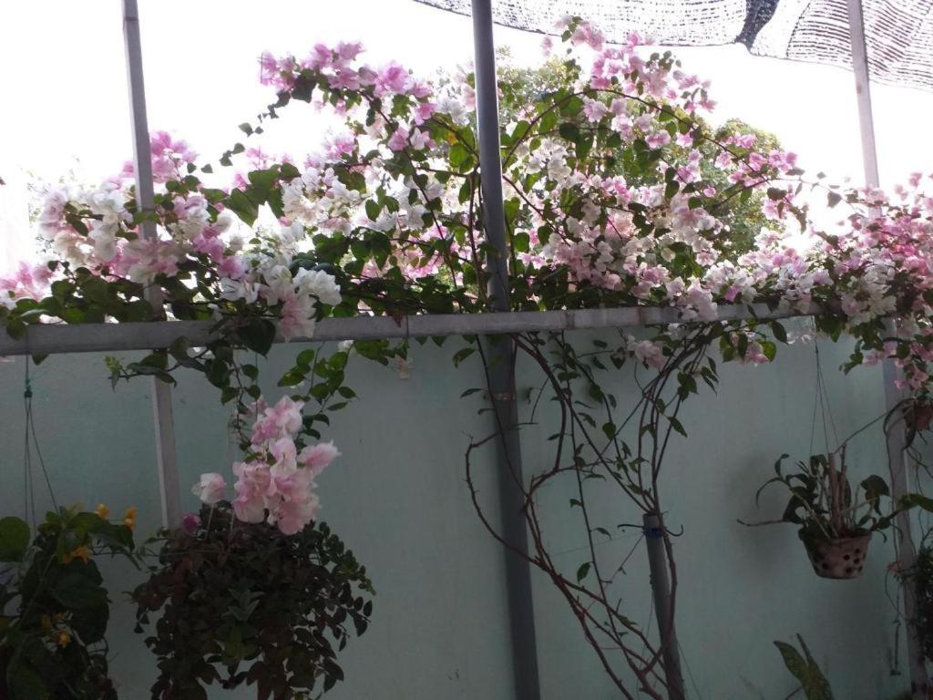 Nhà nghỉ Nguyên Anh Long Hai Exterior foto